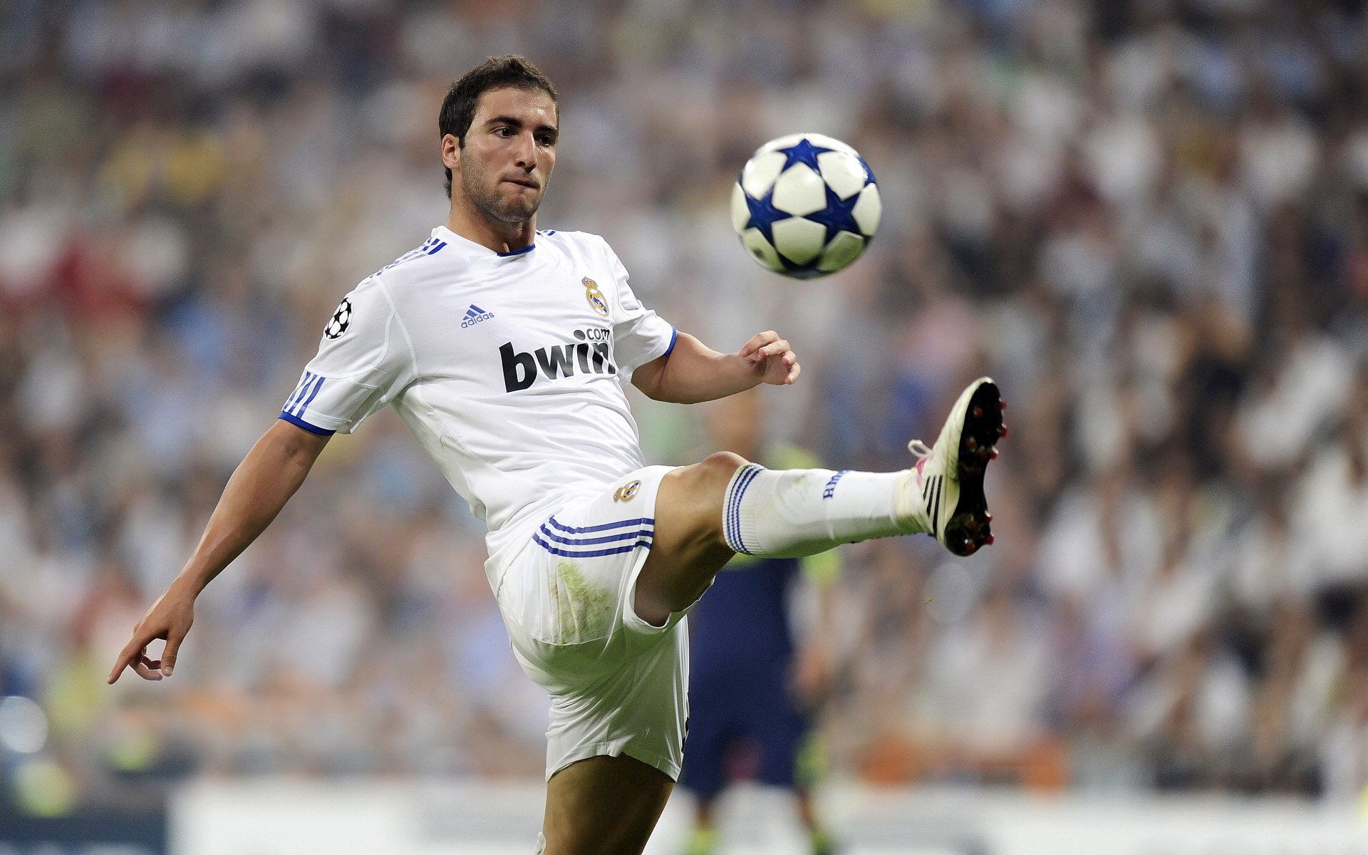 霍芬海姆门将领衔精英阵容,积极备战,霍芬海姆升级德甲